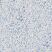 Silk Plaster Рельєф 326