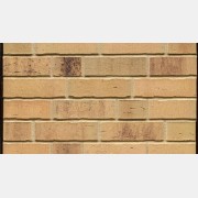 R734NF14 Vascu sabiosa ocasa (кв.м.)