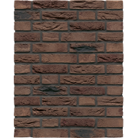 Nr. 20 WDF Ruhrtal mangan (під замовлення)