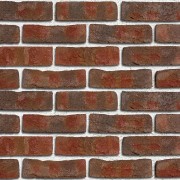 FORMBACK buntgeflammt (під замовлення)