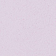 Silk Plaster Оптіма 061