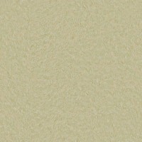 Silk Plaster Art Design 291