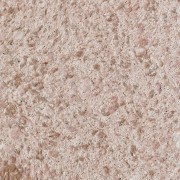 Silk Plaster Victoria 708