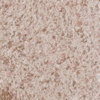 Silk Plaster Victoria 708