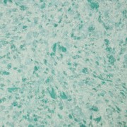 Silk Plaster Victoria 723